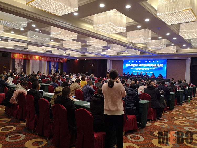 首页-BB贝博艾弗森公司官网