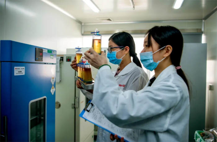 首页-BB贝博艾弗森公司官网