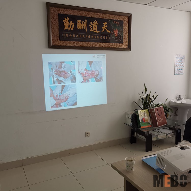 首页-BB贝博艾弗森公司官网