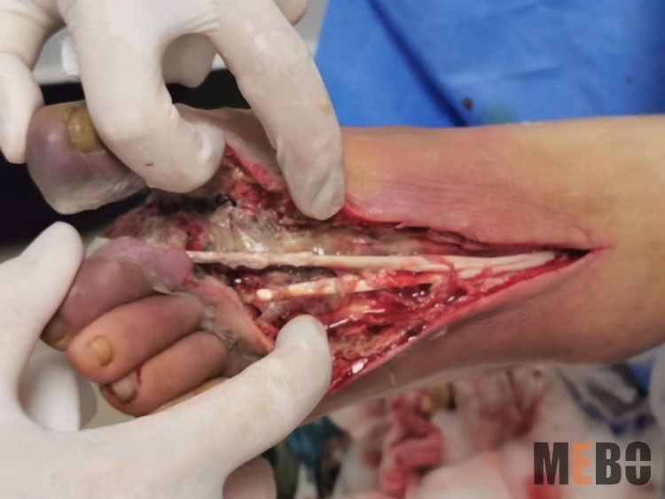 首页-BB贝博艾弗森公司官网