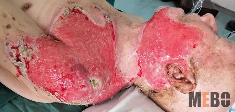 首页-BB贝博艾弗森公司官网