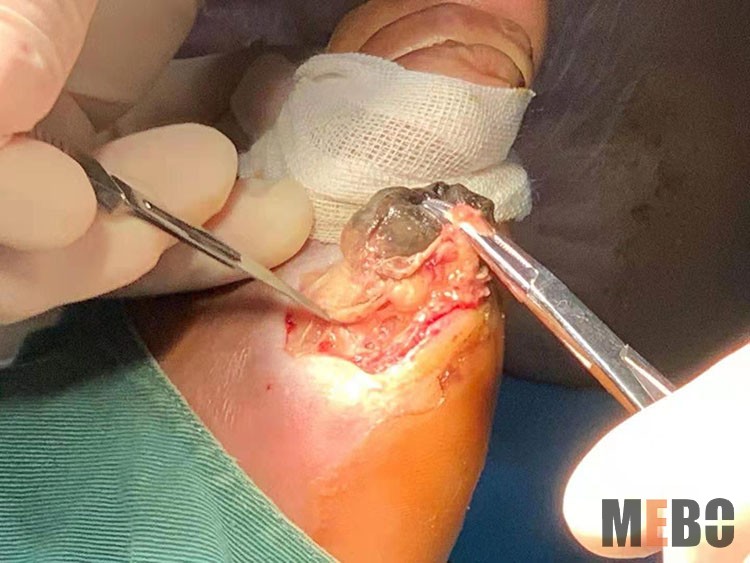 首页-BB贝博艾弗森公司官网