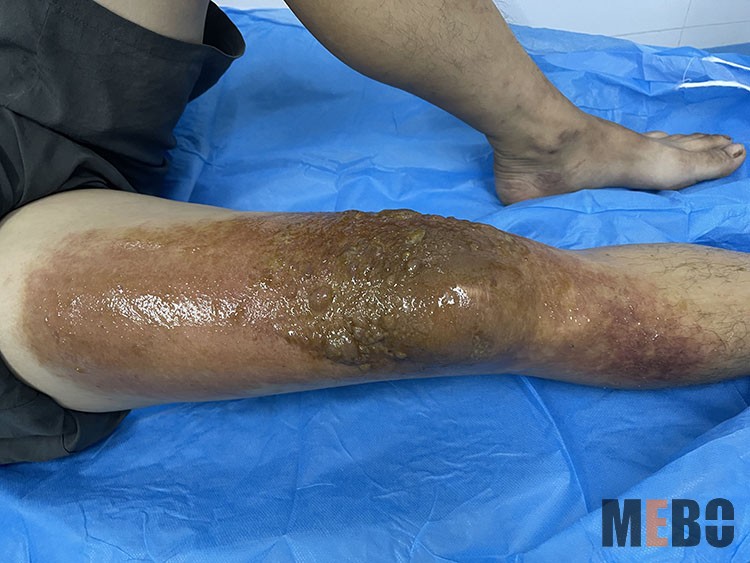 首页-BB贝博艾弗森公司官网