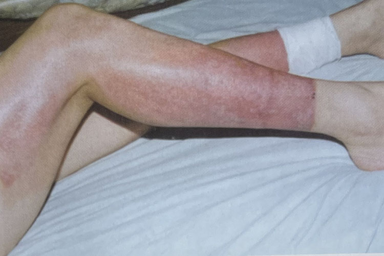 首页-BB贝博艾弗森公司官网