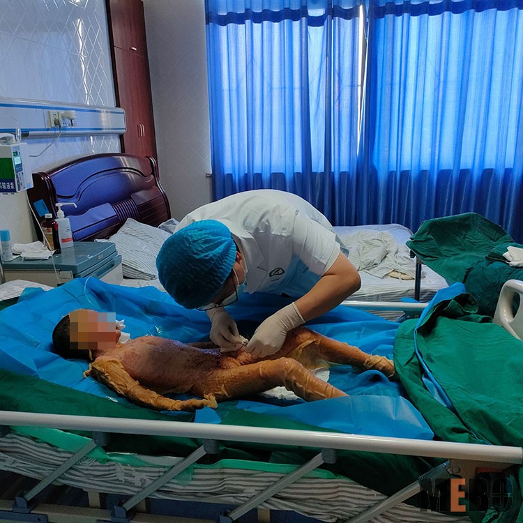 首页-BB贝博艾弗森公司官网