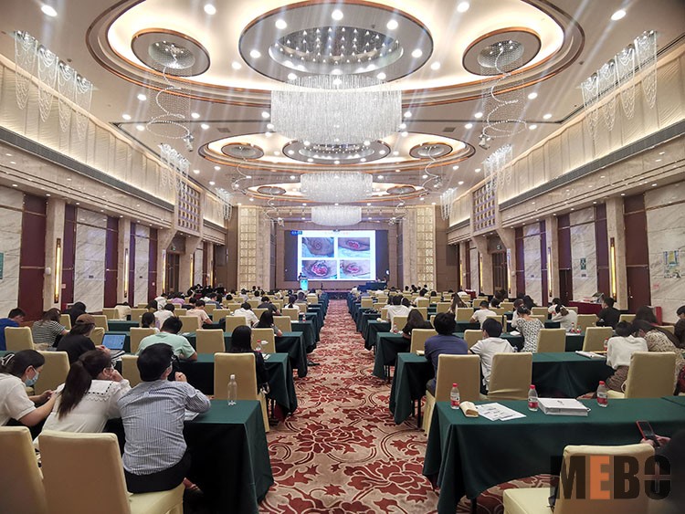 首页-BB贝博艾弗森公司官网