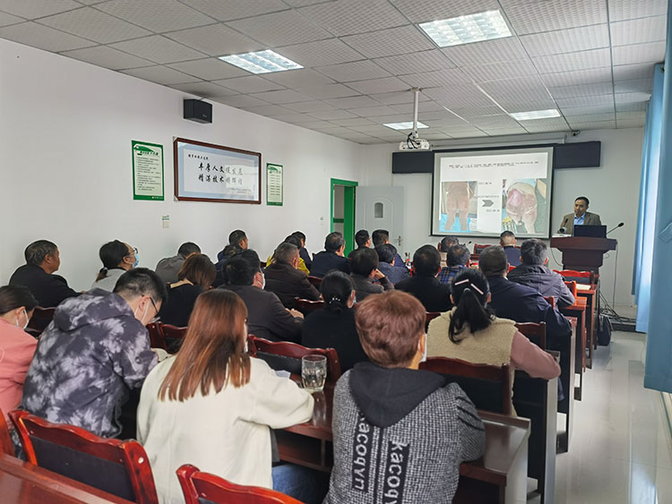 首页-BB贝博艾弗森公司官网