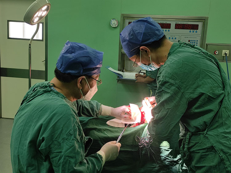 首页-BB贝博艾弗森公司官网