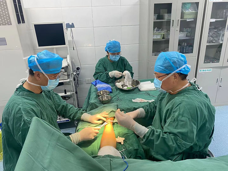 首页-BB贝博艾弗森公司官网