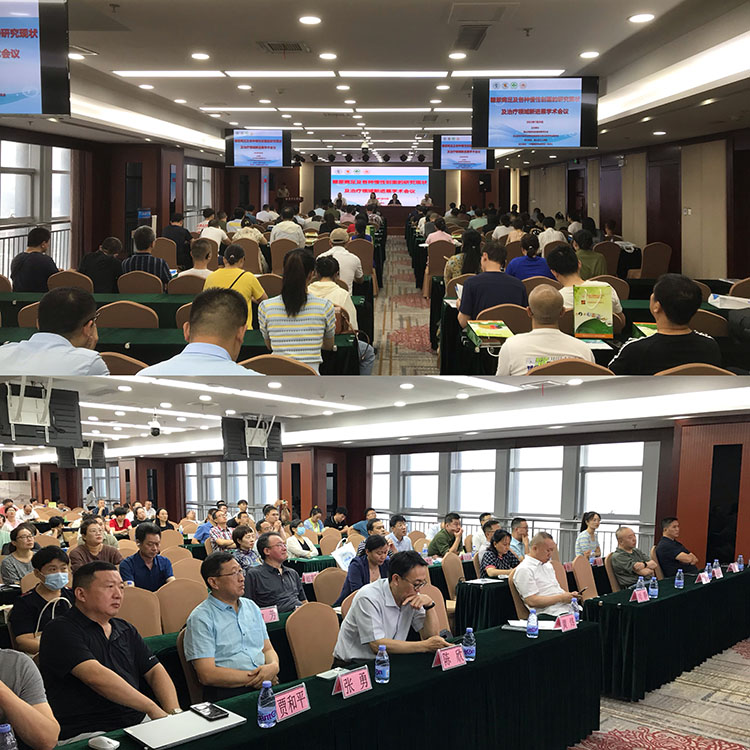 首页-BB贝博艾弗森公司官网