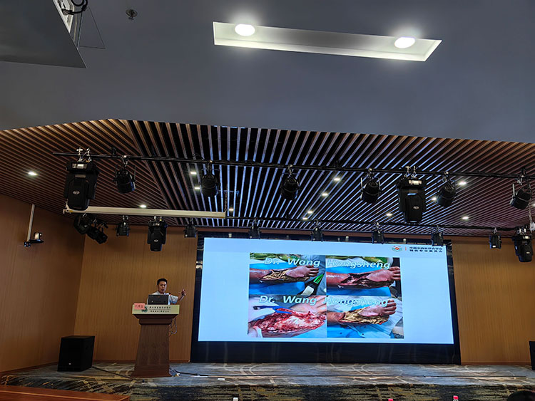 首页-BB贝博艾弗森公司官网