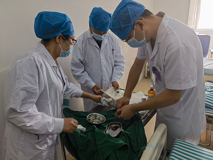 首页-BB贝博艾弗森公司官网