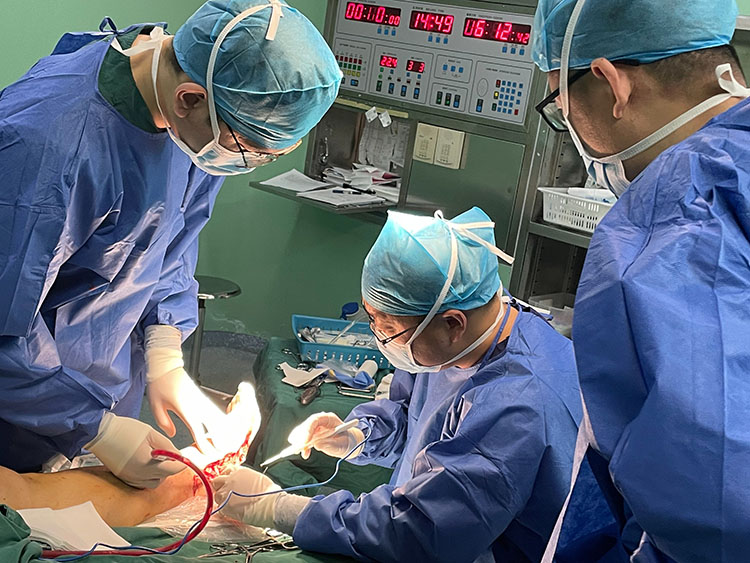 首页-BB贝博艾弗森公司官网