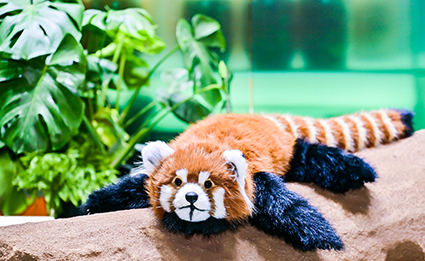 首页-BB贝博艾弗森公司官网