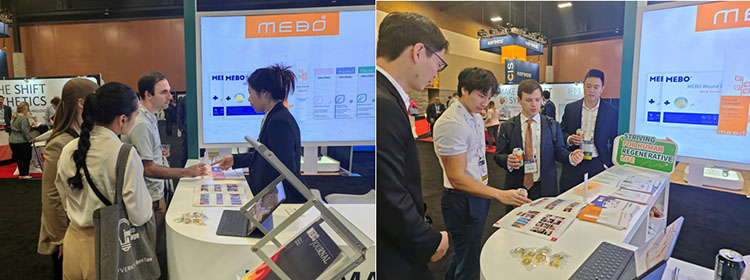 首页-BB贝博艾弗森公司官网