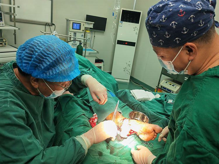 首页-BB贝博艾弗森公司官网