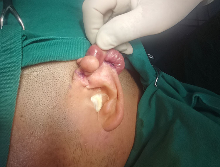 首页-BB贝博艾弗森公司官网