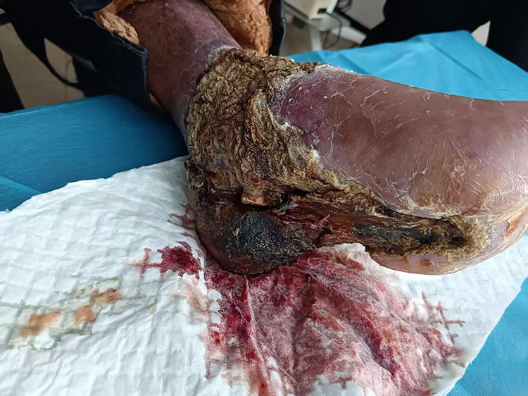 首页-BB贝博艾弗森公司官网