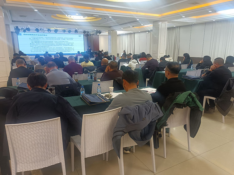 首页-BB贝博艾弗森公司官网