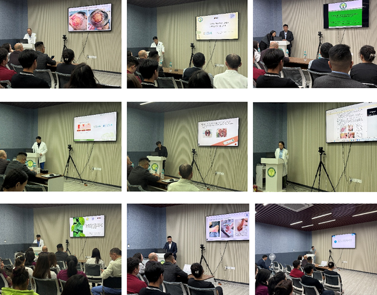 首页-BB贝博艾弗森公司官网