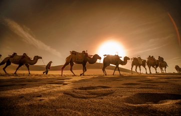 BB贝博国际 “一带一路”建议培训平台