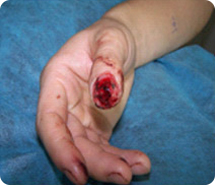 首页-BB贝博艾弗森公司官网