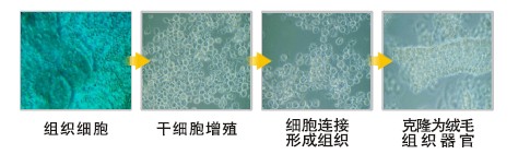 首页-BB贝博艾弗森公司官网