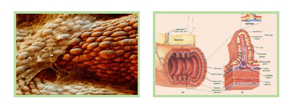 首页-BB贝博艾弗森公司官网
