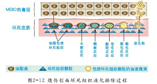 首页-BB贝博艾弗森公司官网