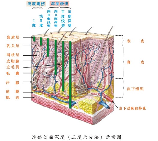首页-BB贝博艾弗森公司官网