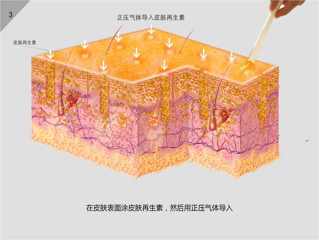 首页-BB贝博艾弗森公司官网