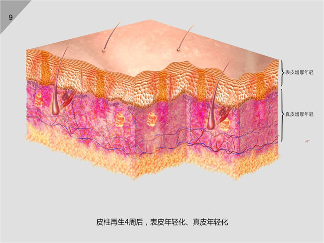 首页-BB贝博艾弗森公司官网