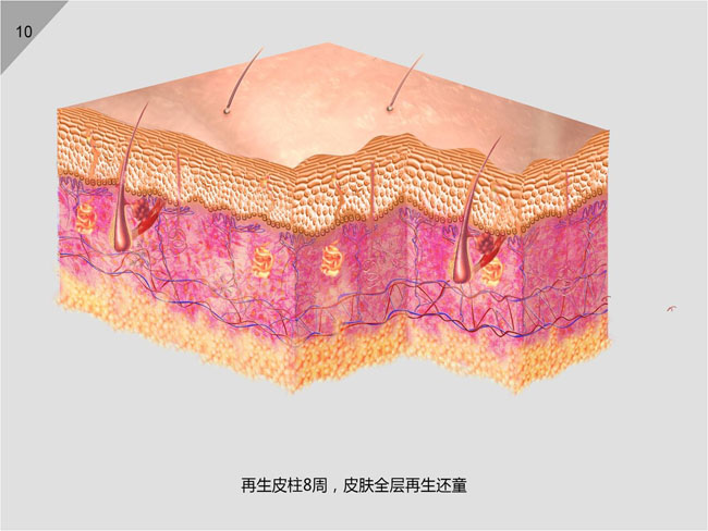 首页-BB贝博艾弗森公司官网
