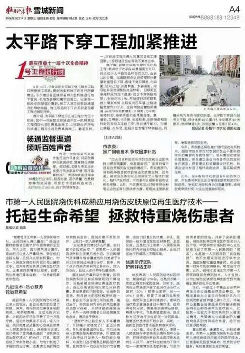 首页-BB贝博艾弗森公司官网